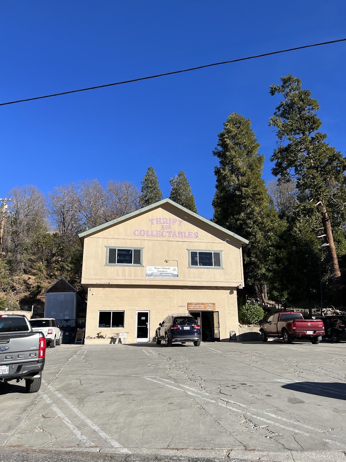 Cedar Glen Thrift-Collectibles in San Bernardino