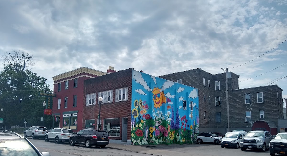 The Cats’ Meow Thrift Shoppe in Plattsburgh
