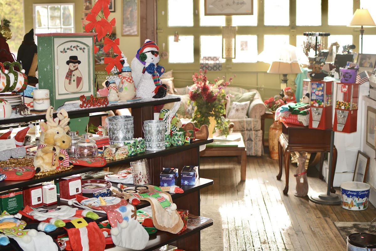 Blount County Humane Society and All Creatures Thrift Store in Maryville