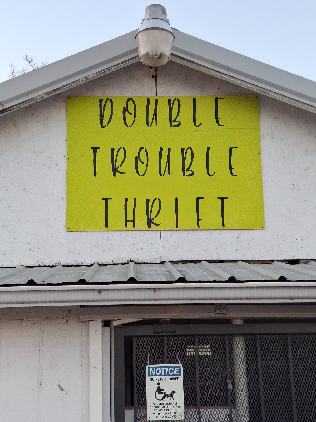 Double Trouble Thrift in Strawberry Plains