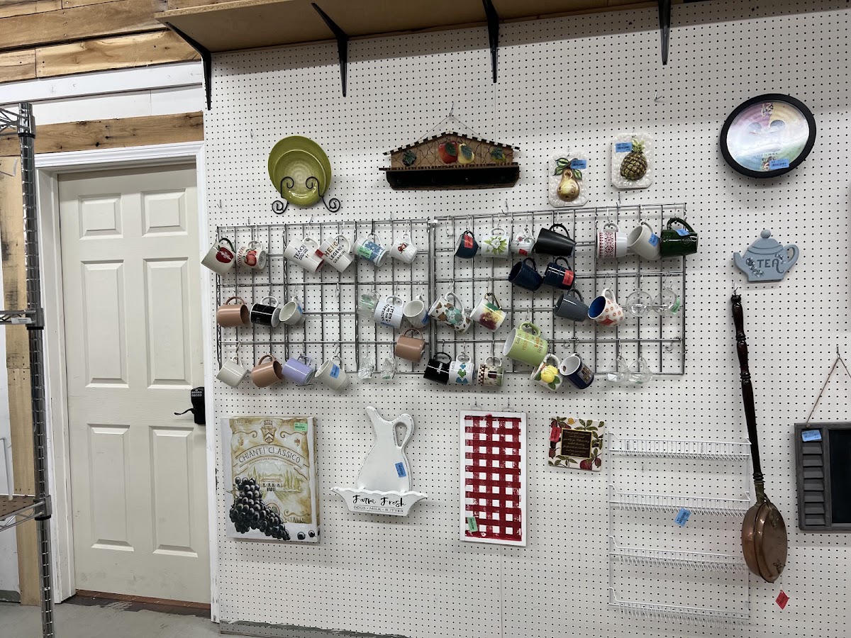 Wags to Riches Thrift Store in Johnson City