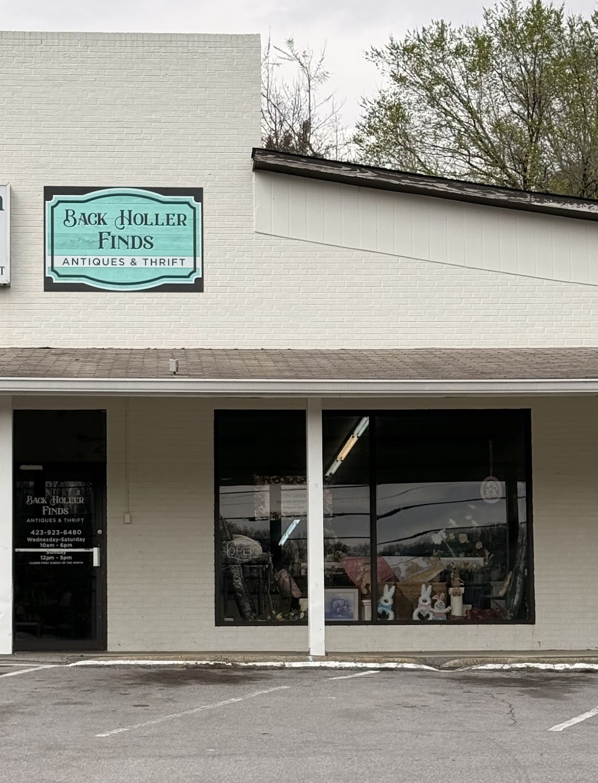 Back Holler Finds in Rogersville