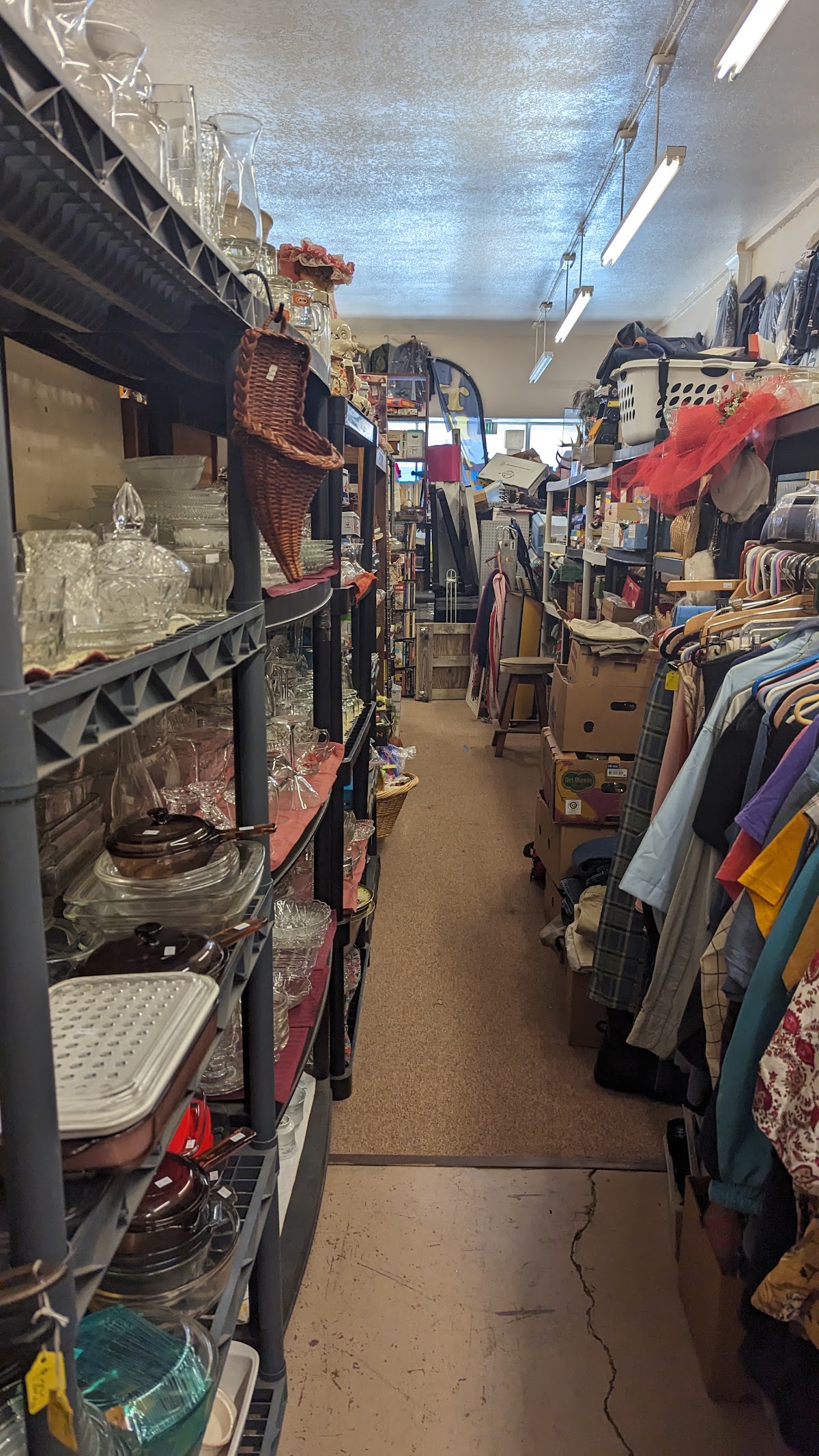 Lazy Dog antiques in Coquille
