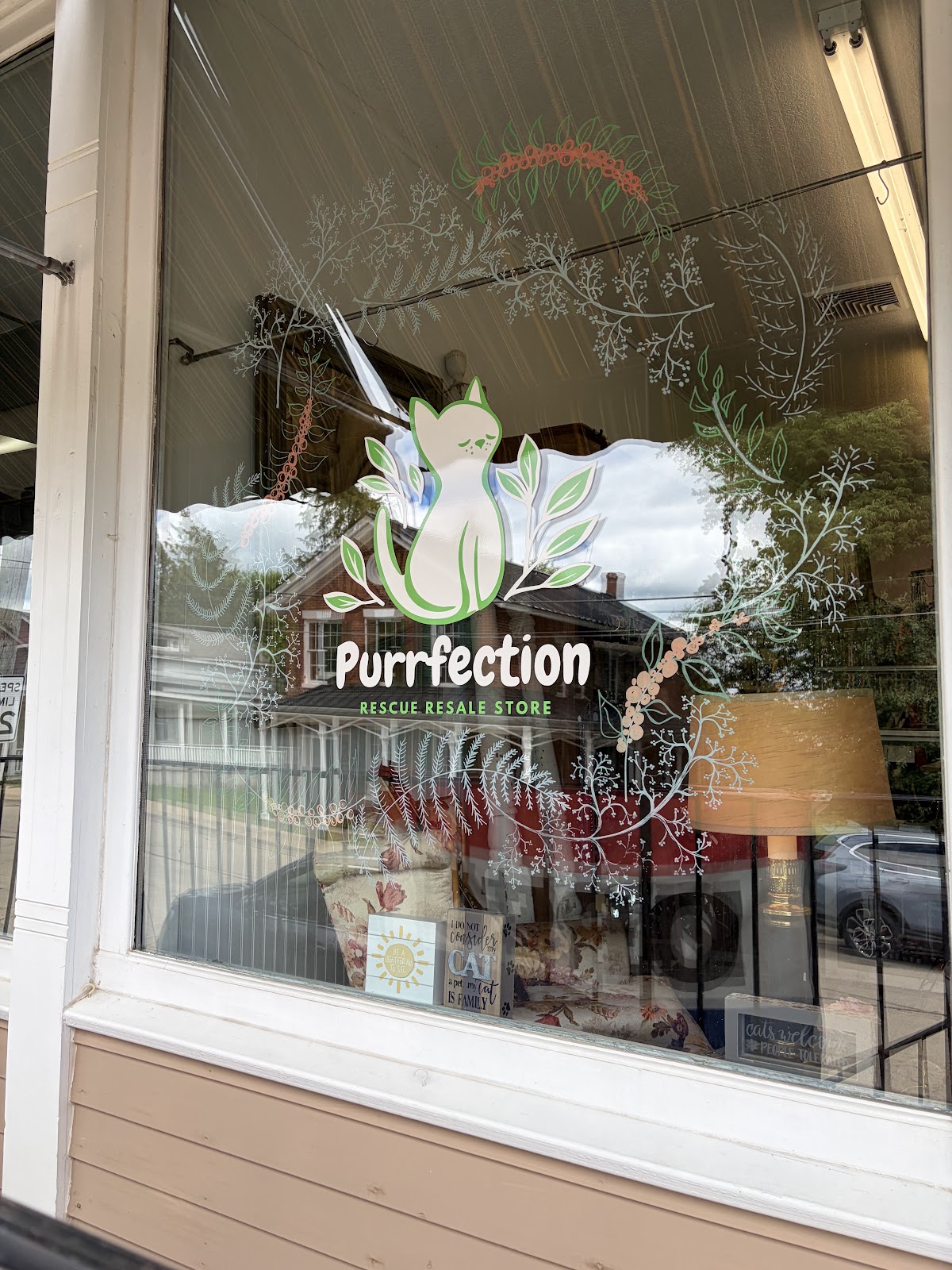 Purrfection Rescue Resale Store Galena IL in Galena