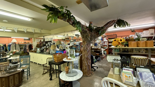 The Giving Tree in Waterloo