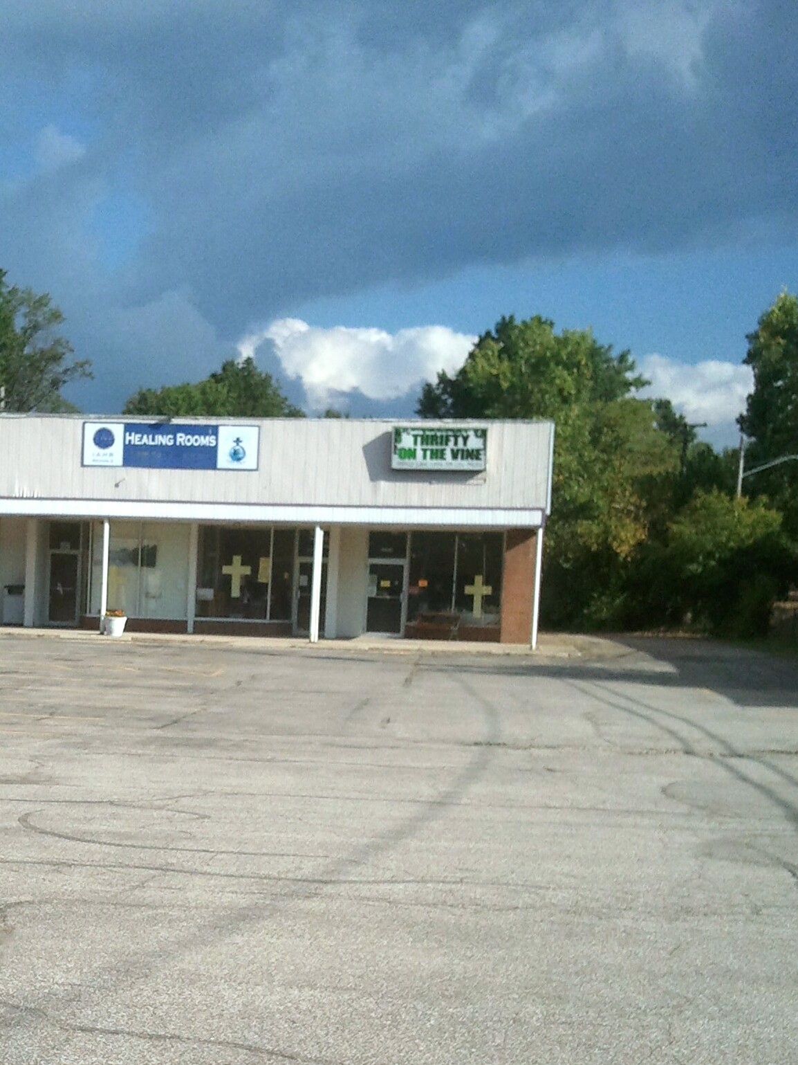 Thrifty On The Vine in Willowick