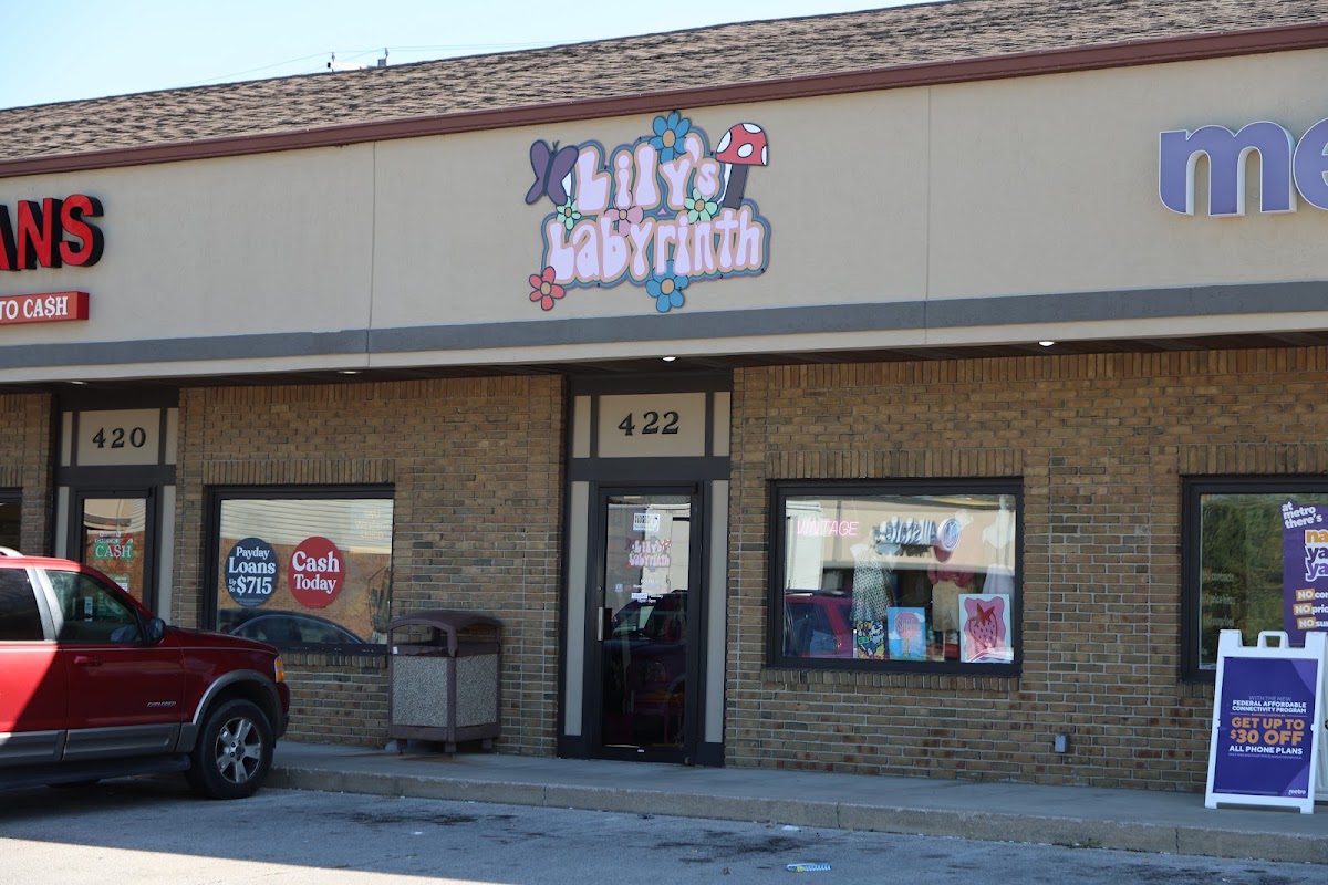 Lily's Labyrinth Vintage Shop in Muncie