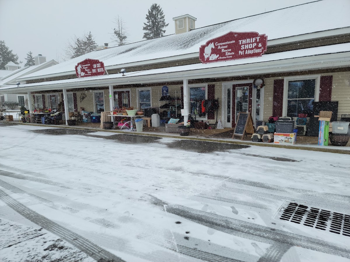 Compassionate Animal Rescue Efforts of Dutchess County in Wappingers Falls