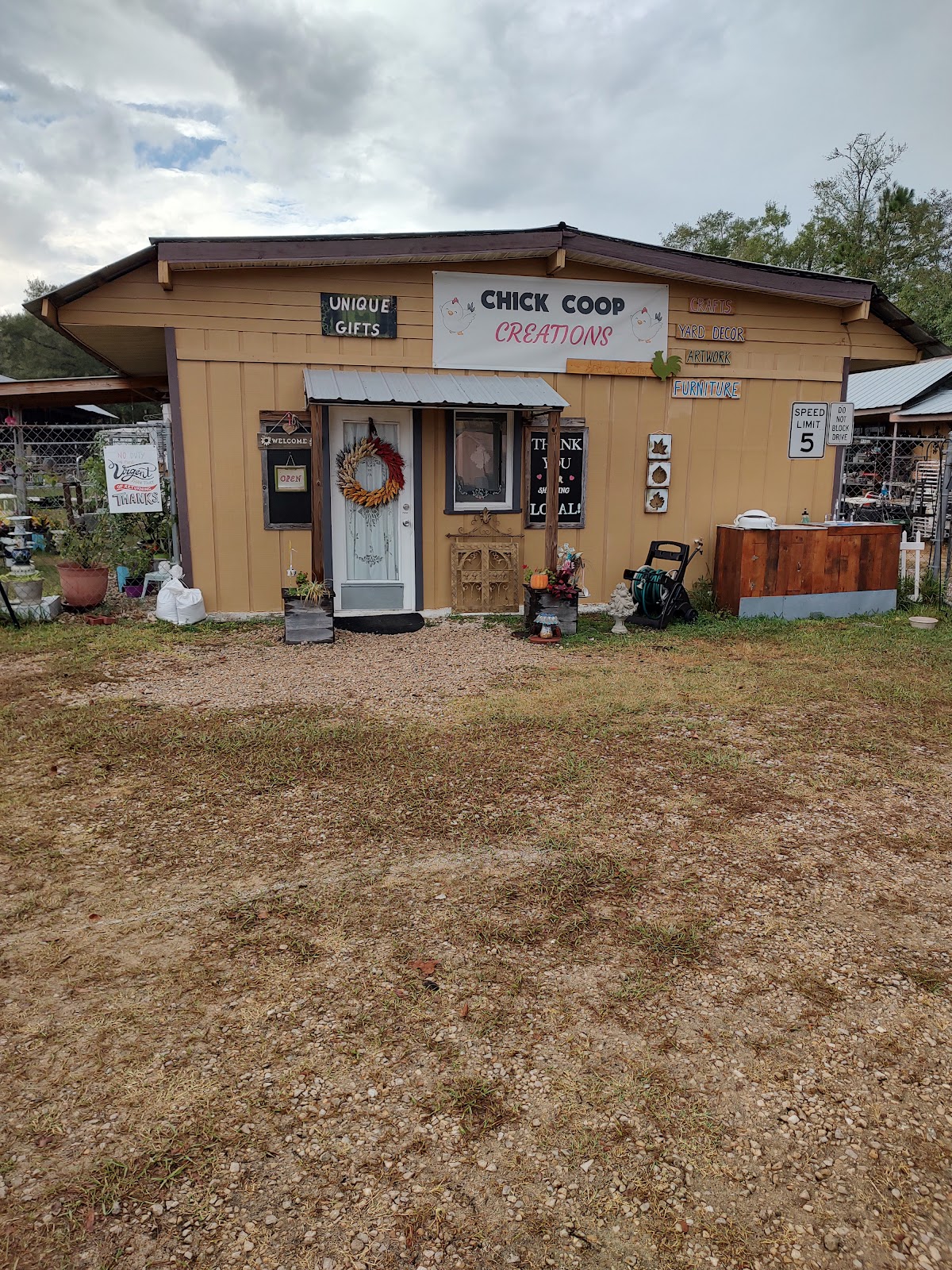 Chick Coop Creations and a Rooster in Tallahassee