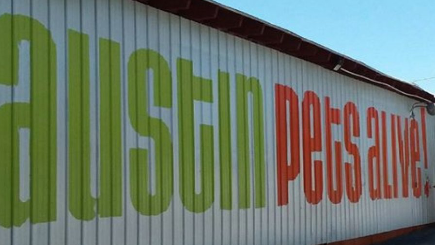Austin Pets Alive! Thrift - Oltorf in Austin