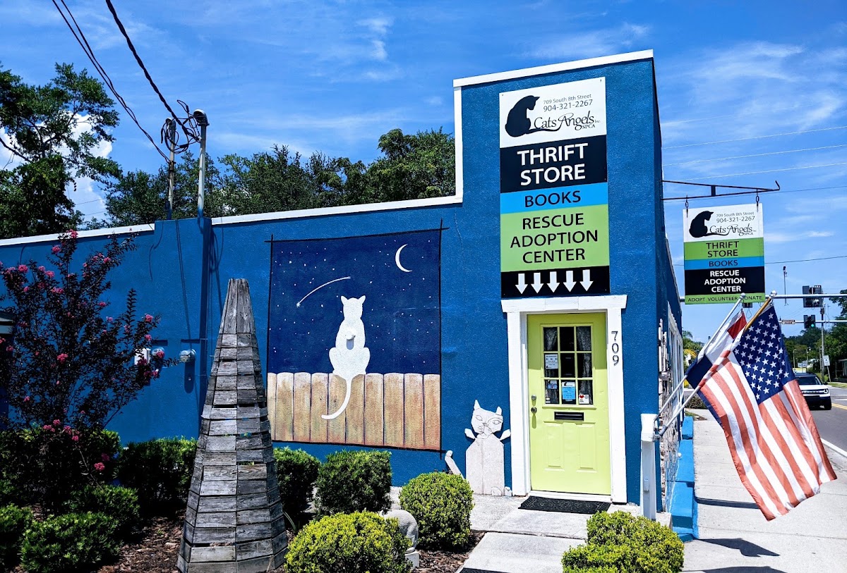 Cats Angels Inc & Thrift Store in Fernandina Beach