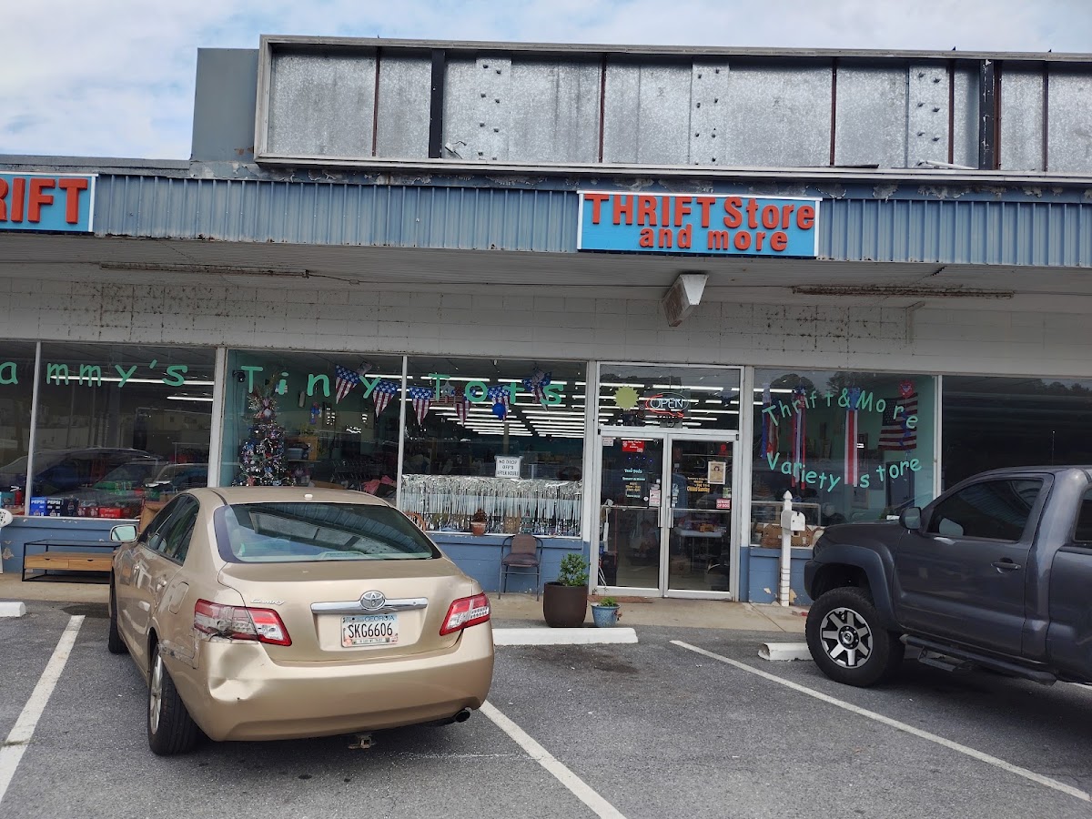 Tammy's Tiny Tots in Ellijay