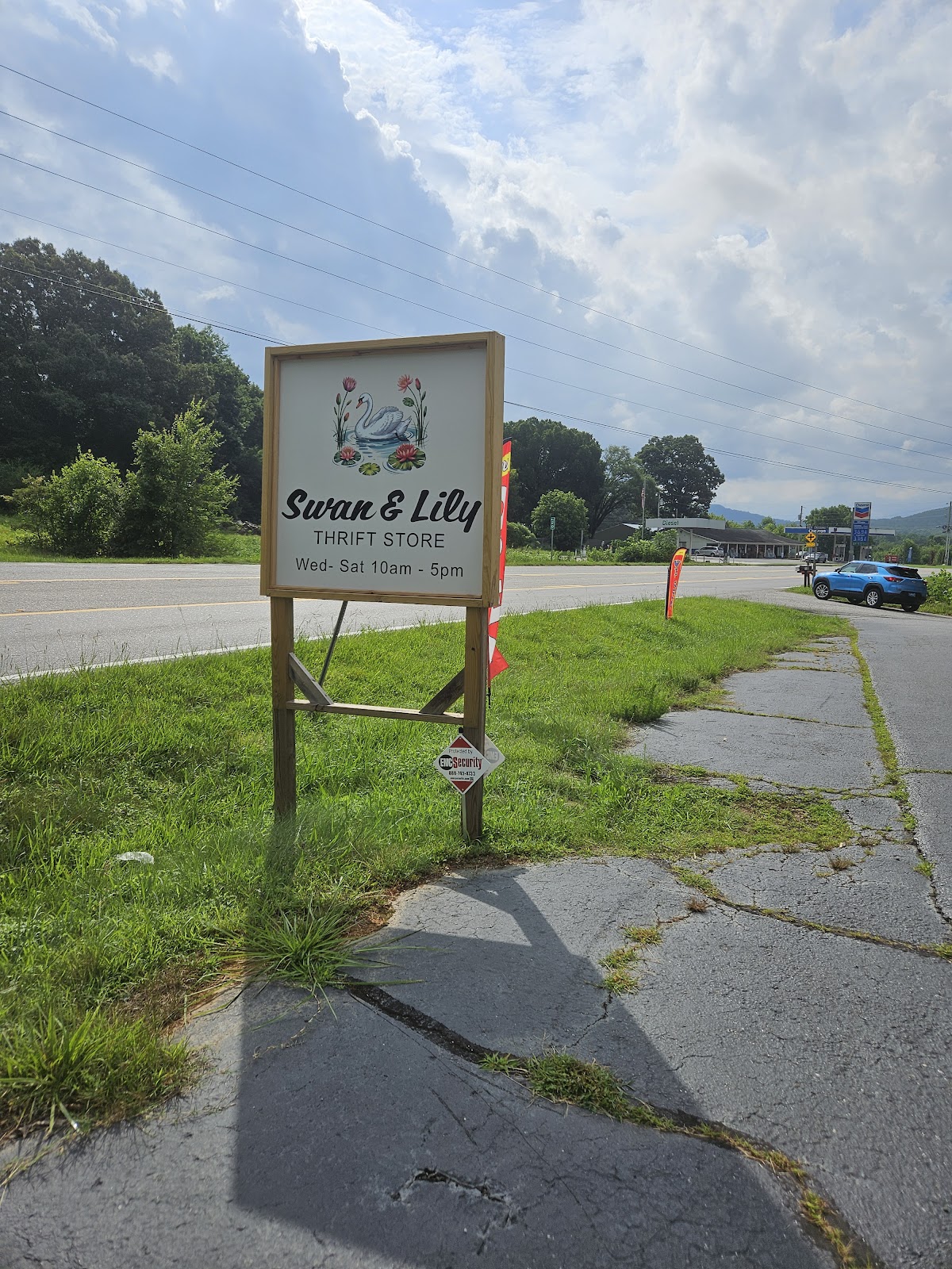 Swan & Lilly in Blairsville