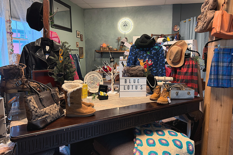 Blue Lotus Boutique in Firthcliffe