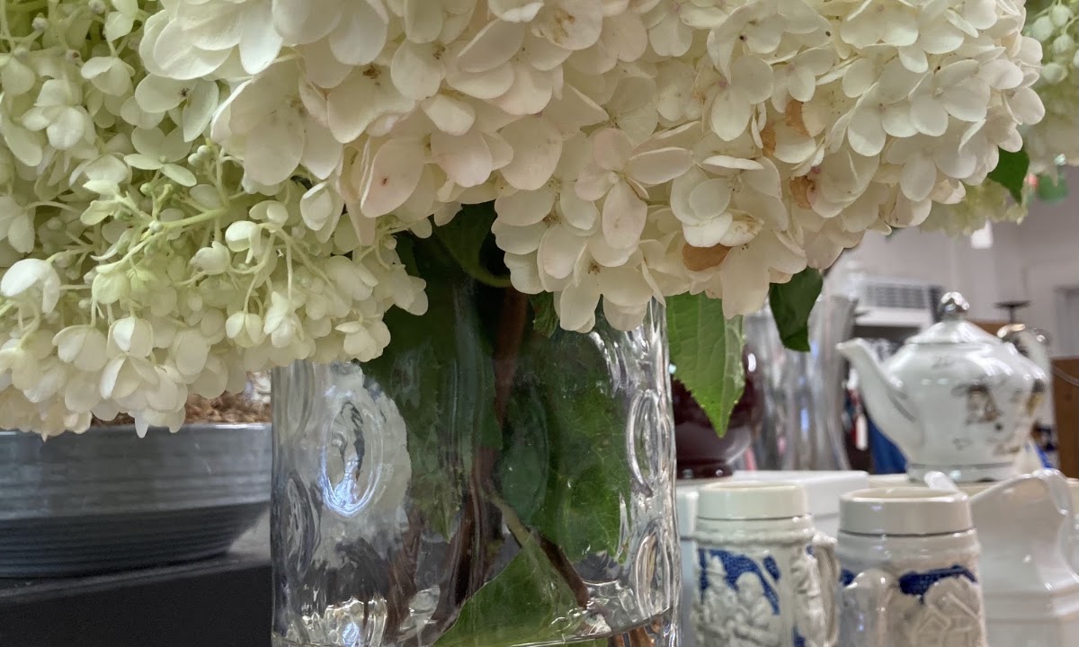 New Canaan Thrift Shop in New Canaan