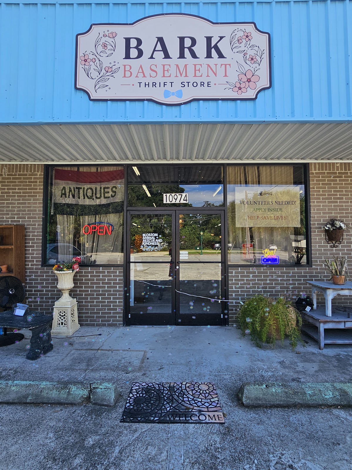 BARK Basement in Ridgeland
